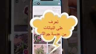 تطبيق خرافي لمعرفة اسماء النباتات و الاشجار