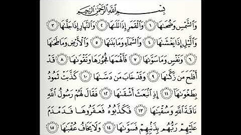 سورة الشمس القارئ زكي داغستاني