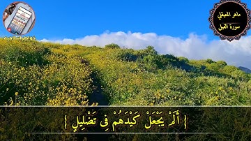 ماهر المعيقلي حالات واتس سورة الفيل| ماهر المعيقلي تلاوة خاشعة|حالات واتس للشيخ ماهر المعيقلي