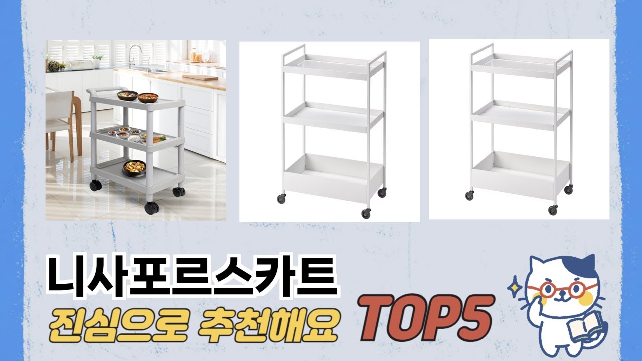 소비자가 선택한 니사포르스카트 추천 제품 5가지