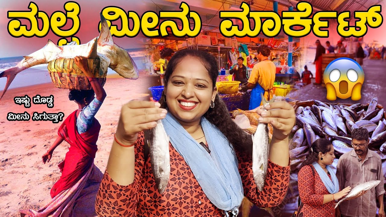 Malpe Fish Market | ಇಷ್ಟು ದೊಡ್ಡ ಮೀನು ಸಿಗುತ್ತಾ? | Udupi | Anikethana