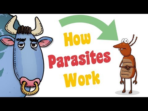 How Parasites Work