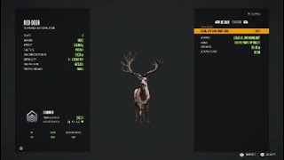 The hunter cotw Trophy Montage #3