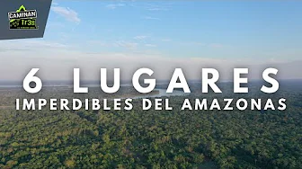 THIS IS A MUST-SEE at AMAZONAS 2024, Colombia
