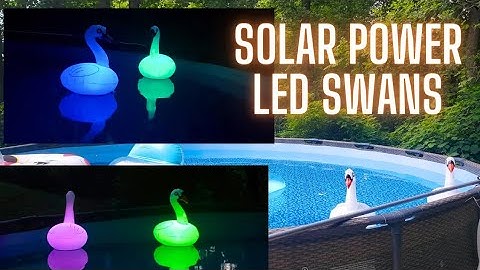LED SWAN LIGHTS that float