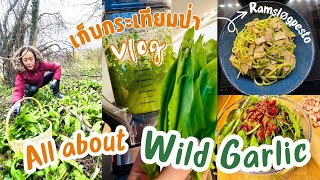 All about Wild Garlic | ไปเก็บกระเทียมป่ามาทำอาหาร, เมนูอร่อยที่ต้องลองทำ How to Cook Ramsløg, Vlog
