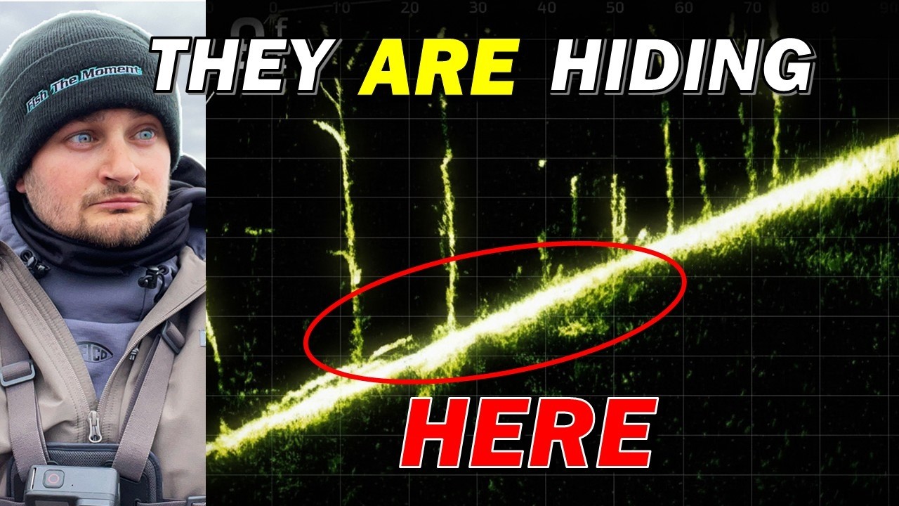 Правда о зимнем окуне: куда он девается?