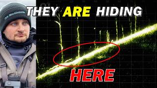 The Truth About Winter Bass: Where Do They Go?