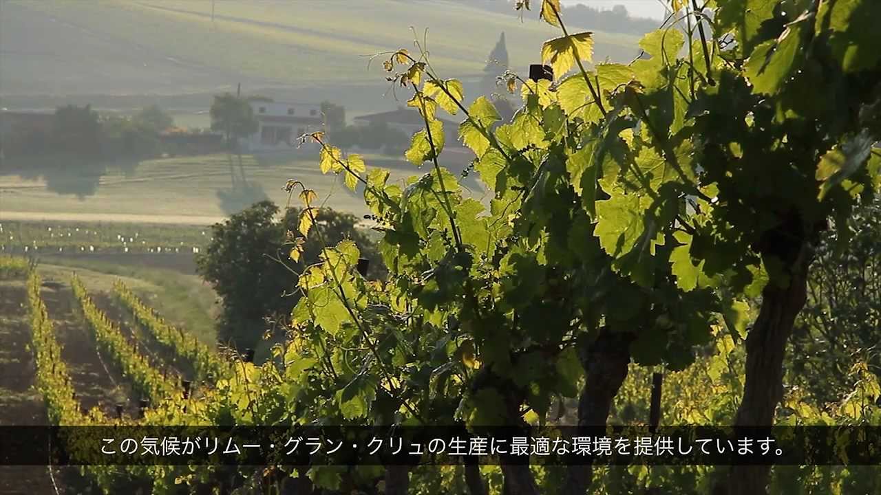 Video Domaines Paul Mas (Japanese)