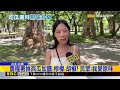 西瓜隱藏吃法「撒黑胡椒」 民眾嚇壞：先不要@newsebc