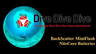 BackScatter MiniFlash Batteries (NiteCore)