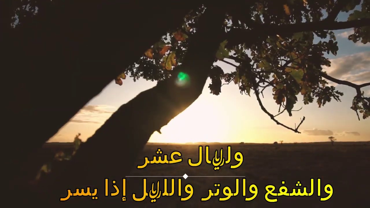 سوره الفجر | السعيد عبدالصمد الزناتى || أصدار قرآني عالي الجودة