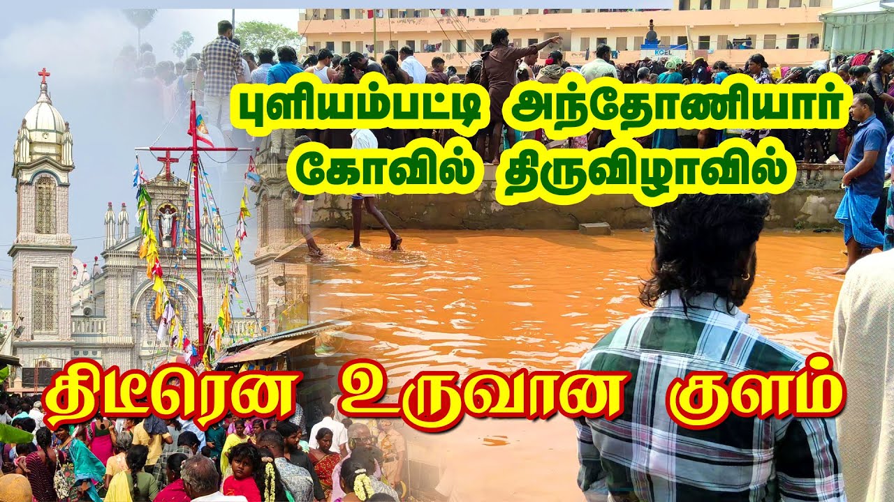 கோலாகலமாக நடந்த புளியம்பட்டி அந்தோனியார் கோவில் திருவிழா