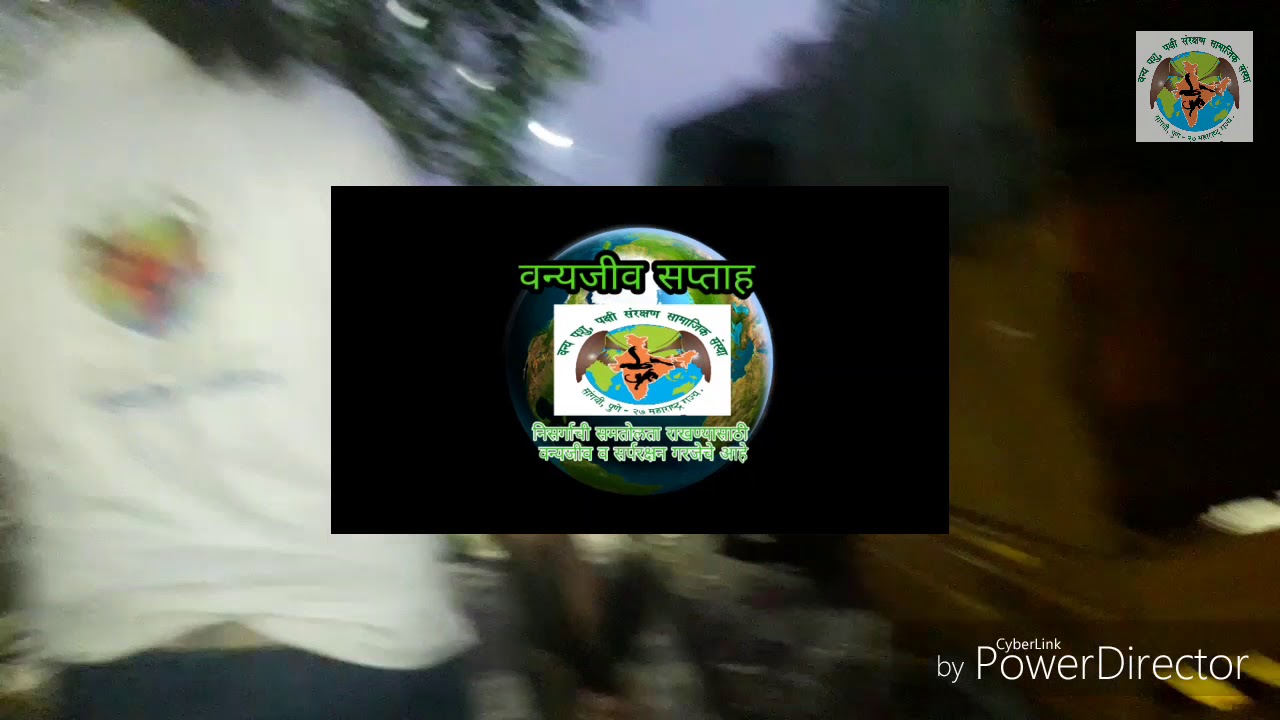 camera iphone 8 plus apk तंगुस मांजाला आडकलेली घार औषधोपचार करून पुन्हा निसर्गात मुक्त करण्यात आली तो क्षण