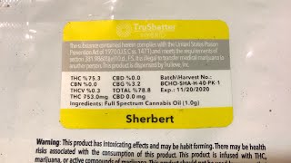 Sherbert TruShatter Review & Trying GoBee + Concentrate Pen with Recycler Attachment || Mmj Fl
