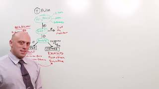 10. Acls Easy Cardiology