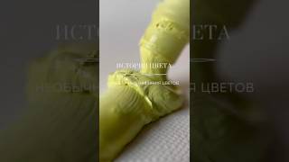 Самые необычные названия цветов
