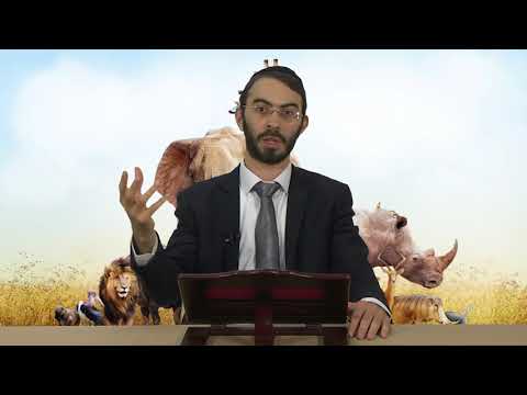 האם מותר ללכת לגן חיות | שואל ומשיב | הרב אשר זנזורי