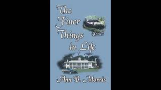 The Finer Things In Life      ANN B  MORRIS REMIX versão 2022