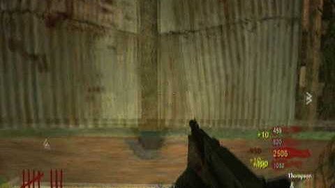 Call of Duty World at War- All or multiple weapons glitch in Shi no numa