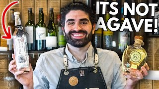 What Is Sotol? Northern Mexicos Magnificent Spirit