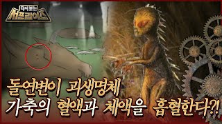 [다시보는 서프라이즈] 돌연변이 괴생명체 가축의 혈액과 체액을 흡혈한다! MBC101017방송