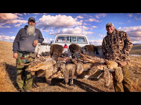 Final Day in Montana | Coyotes, Beavers and One Last Trapline Run. Ep. 8 of 8