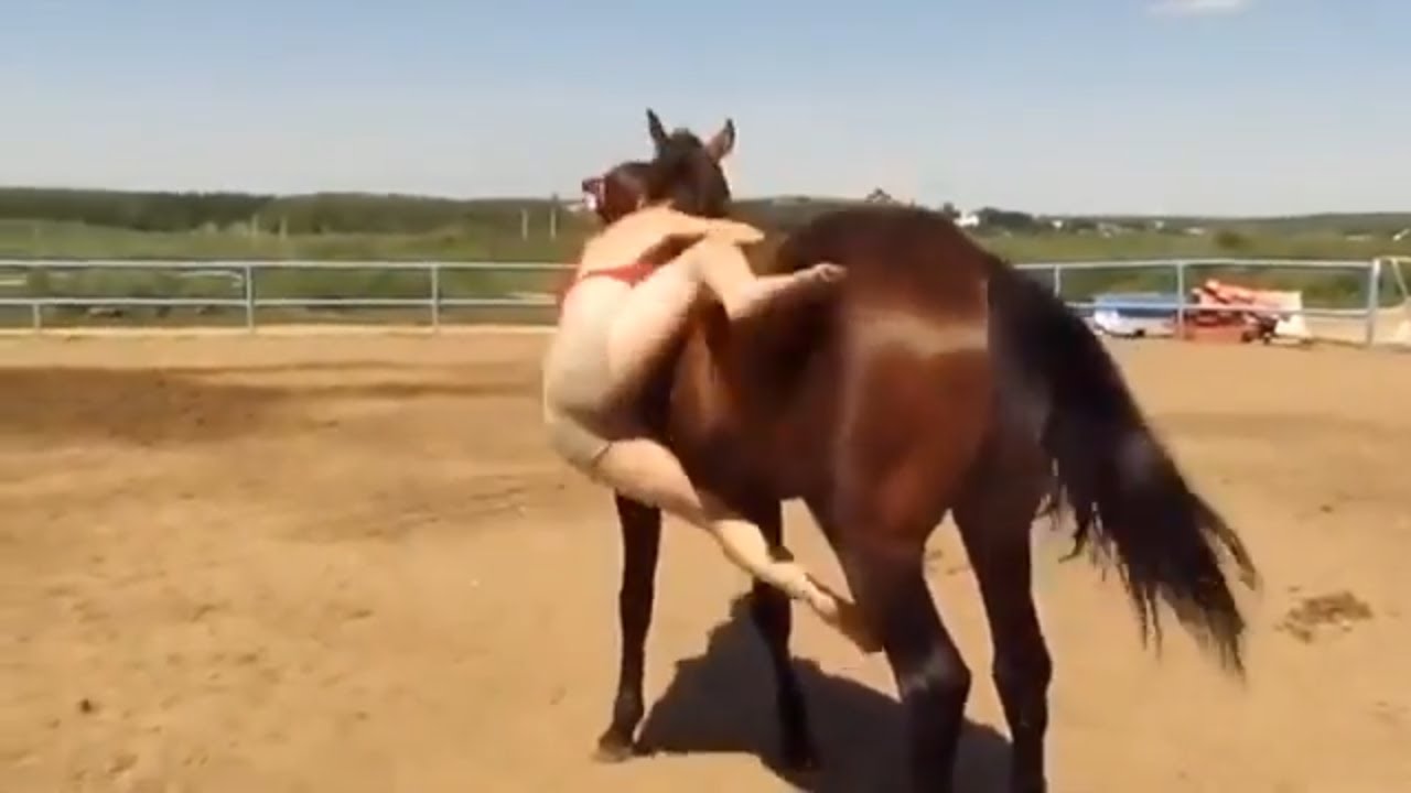 Horse cums in man