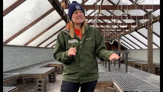 This Could Have Been MUCH Worse! 🥶 Frigid Temps : Flower Hill Farm