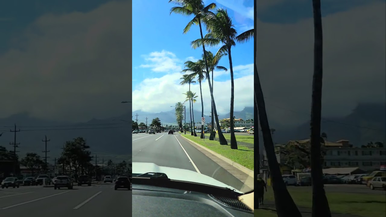Driving in tropical town