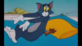 Tom And Jerry Funny Moment - 28 Tom Vs Jerry