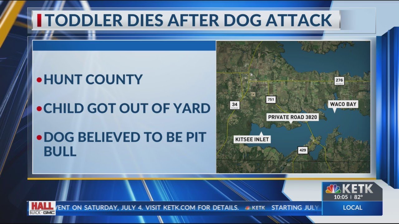 Toddler dies after dog attack in Hunt County - YouTube