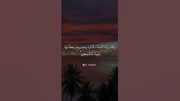أجمل حالات واتس اب قرأن بصوت القارئ ماهر المعيقلي/#سورة_الملك#القرآن_الكريم #ماهر_المعيقلي/#4/#quran