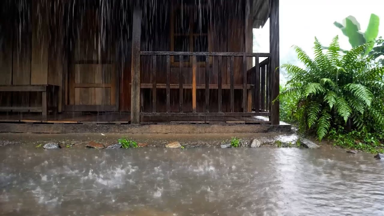 Chuva Contínua Em Casa Isolada 🌧️ Silêncio Perfeito Para Relaxar E Descansar