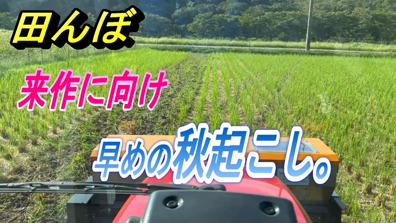 【田んぼ】今年は早めに秋起こしをして、稲わらの腐熟促進を図ってみる・・・。