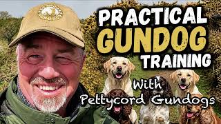 Gundog Training - What Is A Memory Retrieve 