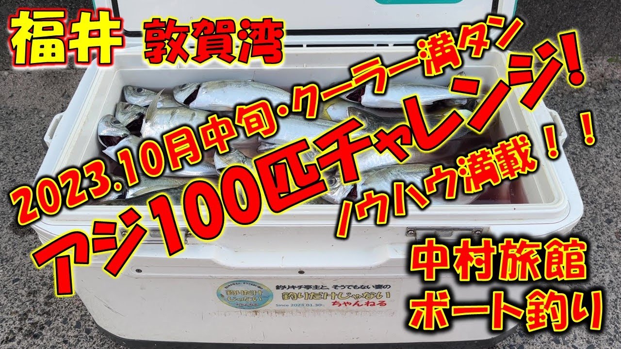 【2023年10月中旬】福井、敦賀湾、中村旅館でボート釣り。アジ釣り100匹チャレンジ。サビキ釣り、沖で出会った「若者たち」が釣れるまでを完全収録。