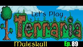 Let's Play Terraria 1.2 Ep. 89 - Spectre Hood And Beetle Armors