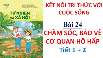 Tự nhiên và xã hội lớp 2 | Bài 24 Chăm sóc, bảo vệ cơ quan hô hấp|Kết nối tri thức | 10 Phút Học Bài
