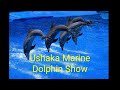 South Africa: Dolphin Show at Ushaka Marine, Durban