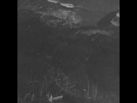 Pharaoh unplugged love kills. Pharaoh white punk unplugged 2 love kills. фараон unplugged 2 love kills. Love kills фараон. фараон unplugged 2 love kills.