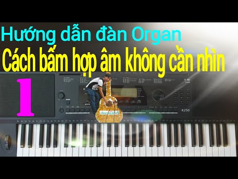 Cách bấm hợp âm trên đàn organ – Đơn giản – dễ nhớ – không cần nhìn | Điêu Chương 2023 mới nhất