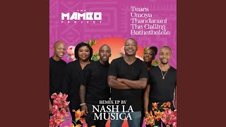 Download lagu Bathethelele (feat. Mzoel) (Radio Edit)