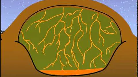 How Does a Modern Landfill Work?