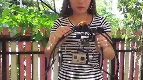 2 Axis Brushless Gimbal Testing by Queen Hobby