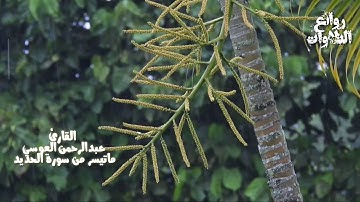 عبدالرحمن العوسي ماتيسر من سورة الحديد🎧❤