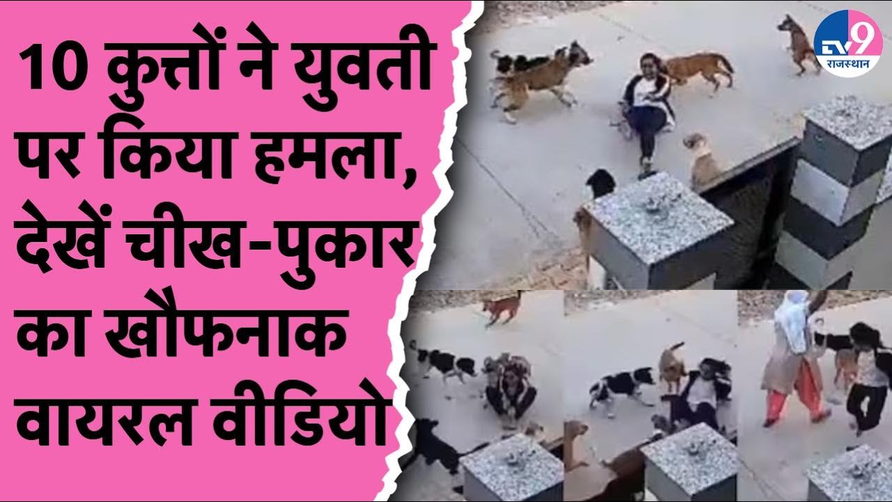 Alwar में 10 कुत्तों ने युवती पर किया हमला, देखें चीख-पुकार वाला खौफनाक वीडियो