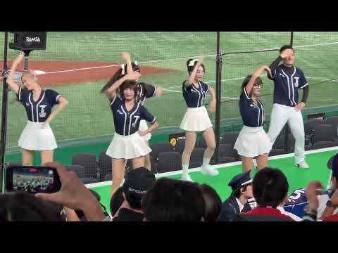 【台湾チアガール⑤】岳政華 応援歌 アジアプロ野球チャンピオンシップ 2023/11/17