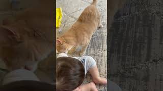 Cat Gently Avoids Baby Trying to Play