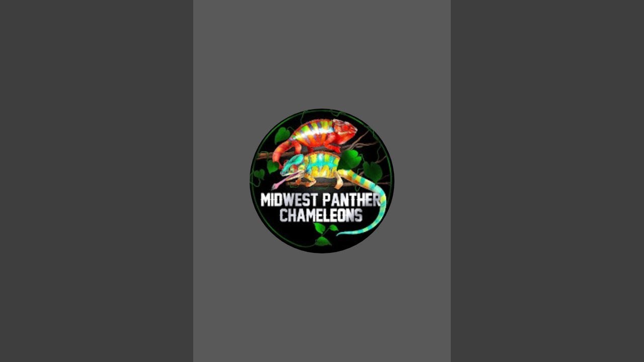 Midwest Panther Chameleons  is live!
